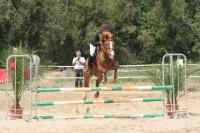 MOI ET FANNY