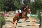 l concours:MA PASSION